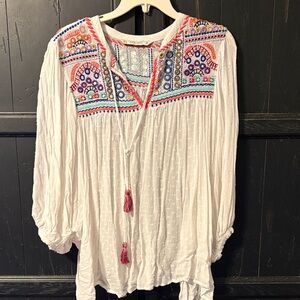 Zara Multicolor Embroidered Blouse